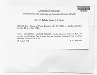 Image Associated With the Occurence